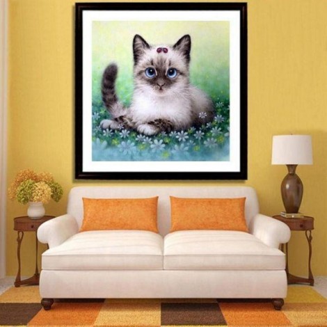 Chaton et coccinelle