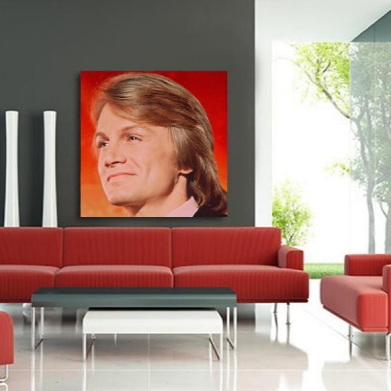 Claude François Por...