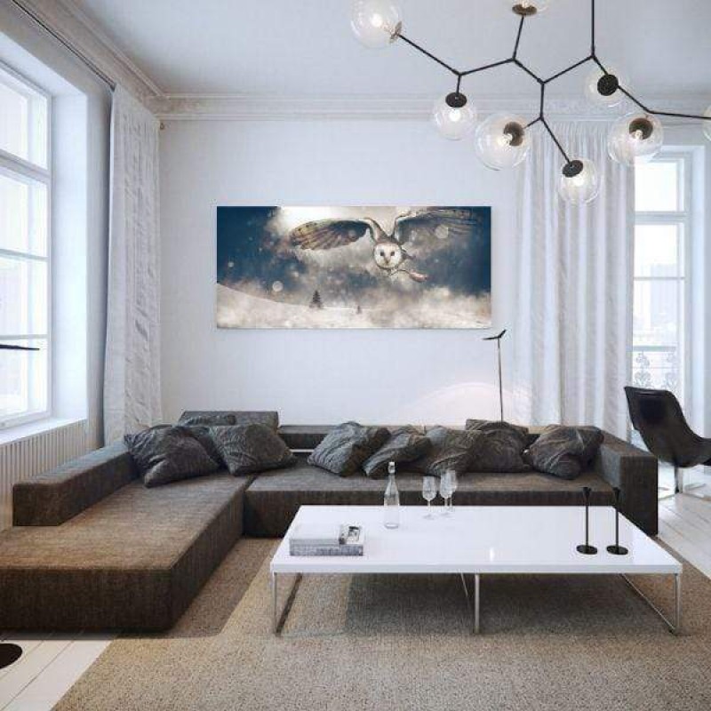 Chouette sous la nei...