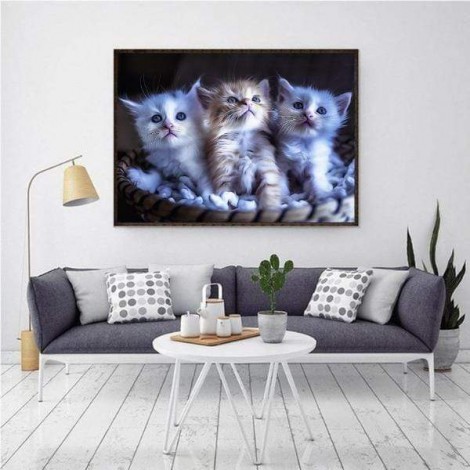 Trio de chatons