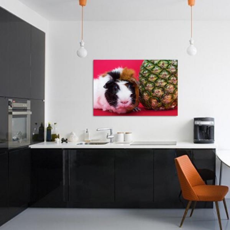 Cochon d'Inde gourma...