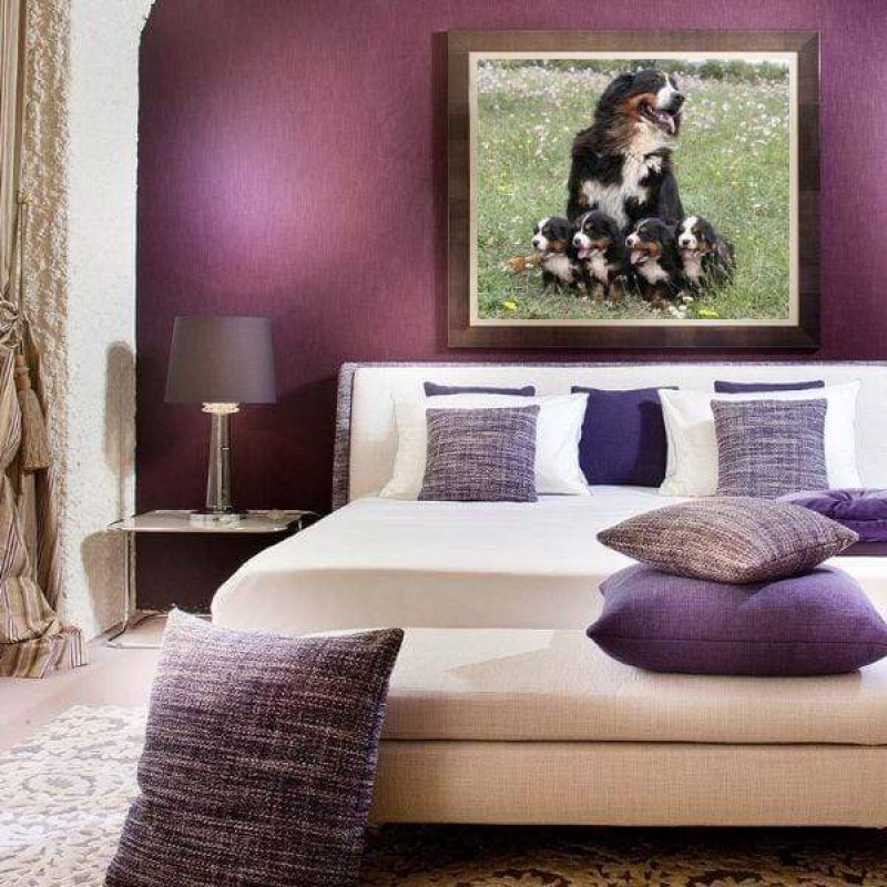 Nolly et ses bébés