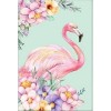 Flamand rose
