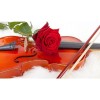 Violon fleuri
