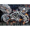 Harley Fire